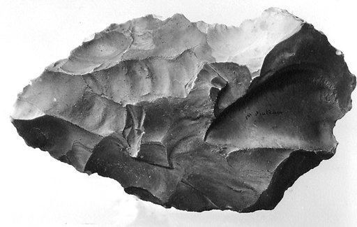Biface, commonly referred to as a hand ax