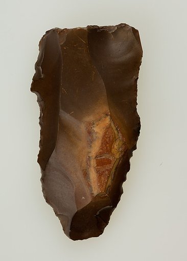 Denticulated Tool