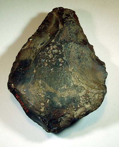 Biface, commonly referred to as a hand ax