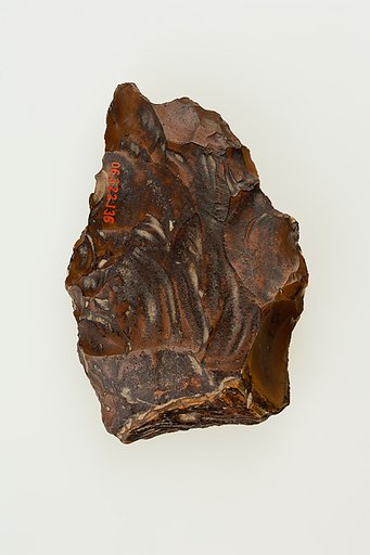 Biface, commonly referred to as a hand ax