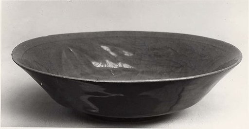 Dish