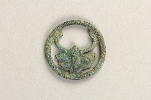 Ornament with insect