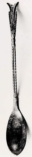 Spoon