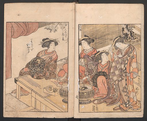 Mirror of the Beauties of the Green-houses (Seirō bijin awase sugata kagami) 青楼美人合姿鏡