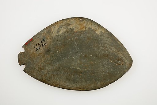Palette, fish