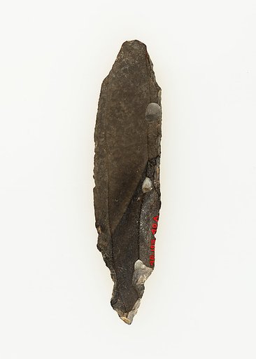 Tanged Tool