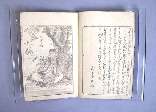 Transmitting the Spirit, Revealing the Form of Things: Hokusai Sketchbooks, volume 7 (Denshin kaishu: Hokusai manga, nanahen)