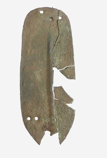 Scale from Armor