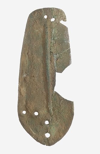 Scale from Armor