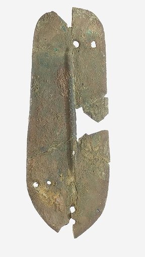 Scale from Armor