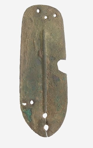 Scale from Armor