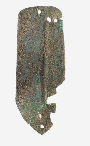 Scale from Armor