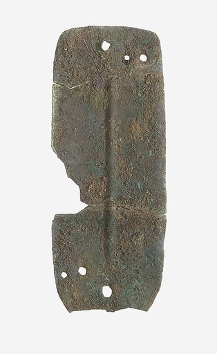 Scale from Armor