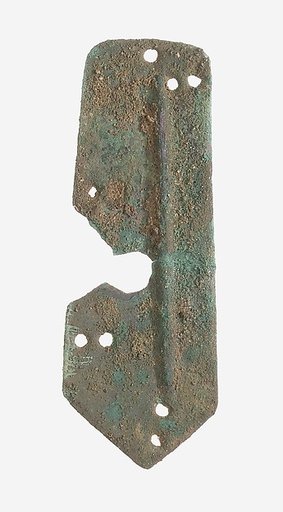 Scale from Armor