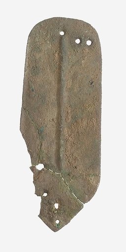 Scale from Armor