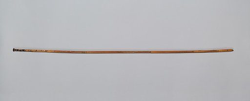 Blunt Pile and Shaft of a Javelin