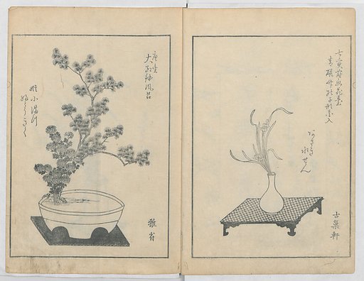 A Book on Flower Arrangement: Hare's-Foot Fern (Shinobugusa) 師廼部供作 (vol. 2);  思乃父魚砂 (vol. 3)