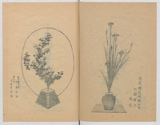 Examples of the Flower Arrangement (Meiji shinsen risshō senkashiki)  明治新撰千花式