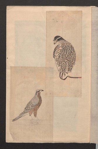 Album of Sketches for Lacquer Decoration (Makie shitae no zu) 蒔絵下絵の図