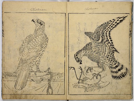 Book of Famous Japanese and Chinese Paintings