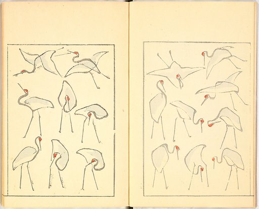 Illustrated Book