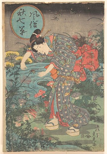 Fashionable Seven Autumn Plants (Fūzoku aki nanakusa)
