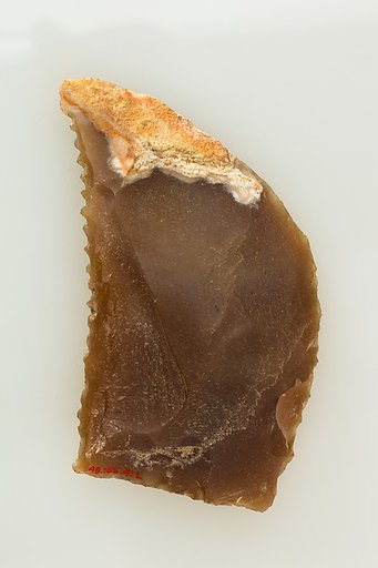 Sickle Insert