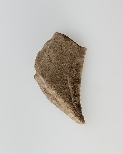 Sickle insert