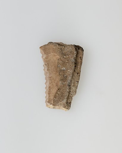 Sickle Insert