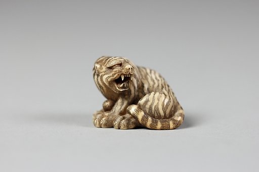 Tiger with Head Turned