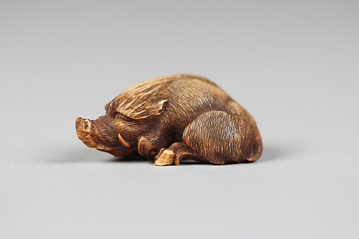 Boar
