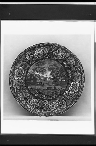 Plate