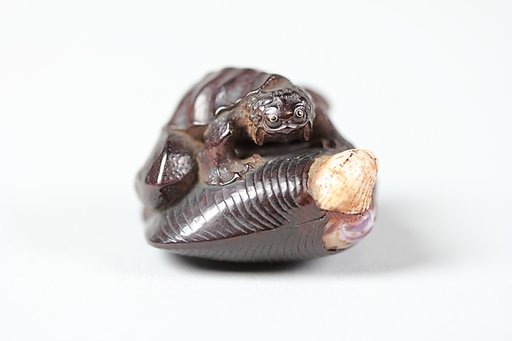 Netsuke of Frog-like Tortoise on a Shell