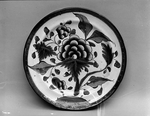 Plate