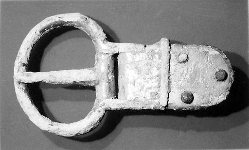 Harness and strap buckles