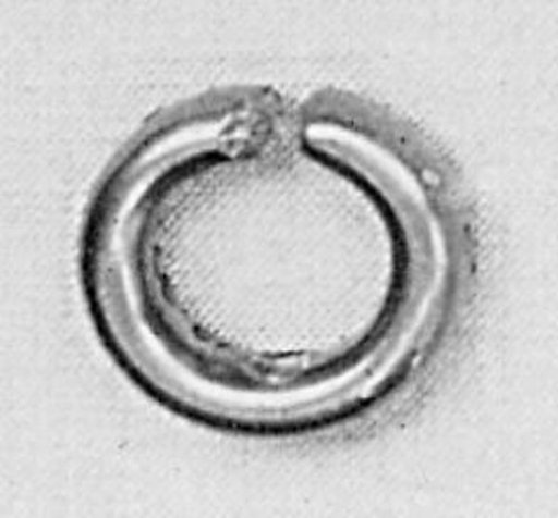 Earring