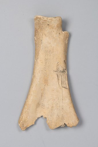 Oracle bone