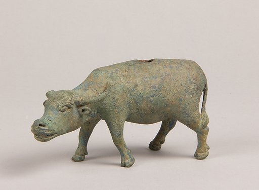 Water Buffalo