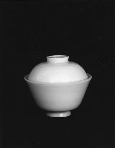 Covered Bowl