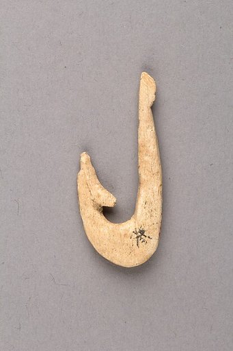 Fish hook