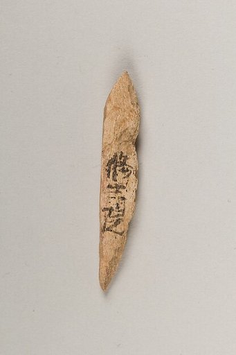 Harpoon head