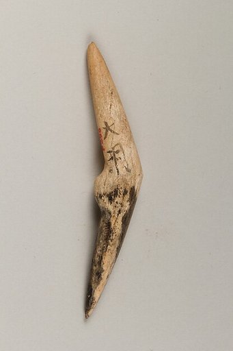 Body ornament