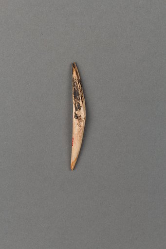 Body ornament