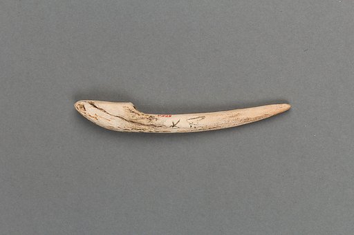 Harpoon head