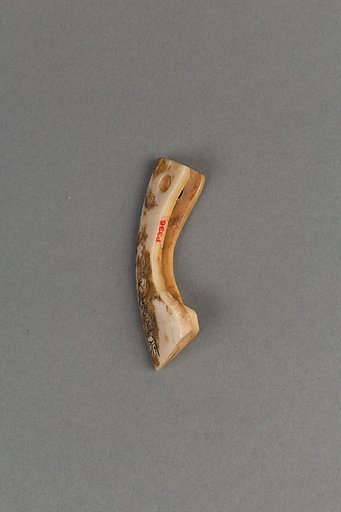 Arrowheads, needles, hooks and harpoons