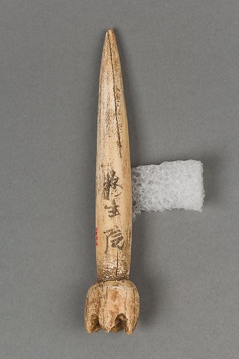 Body ornament