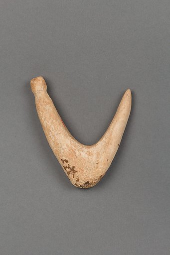 Fish hook
