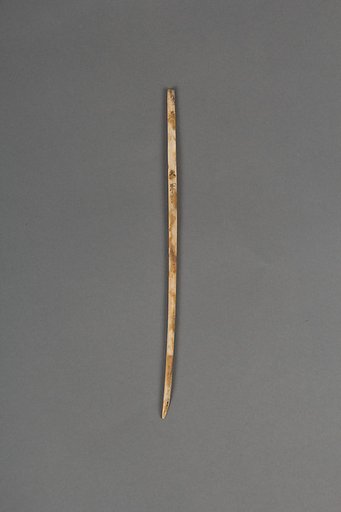 Needle
