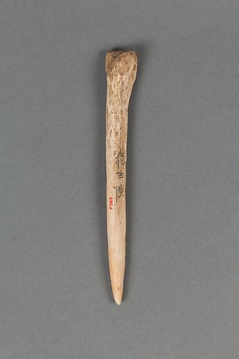 Harpoon head