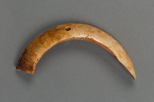 Body ornament